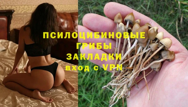 мяу мяу мука Волосово
