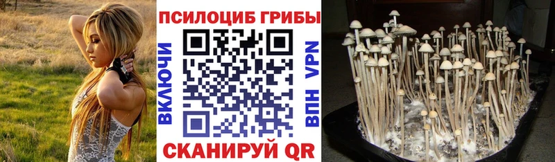 МЕГА рабочий сайт  Раменское  мориарти как зайти  Галлюциногенные грибы мицелий 